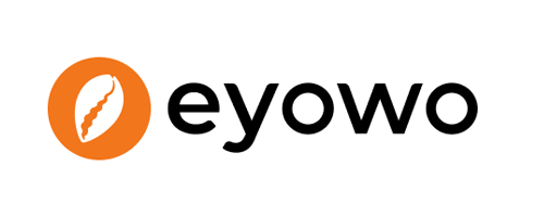 Eyowo Bank - logo